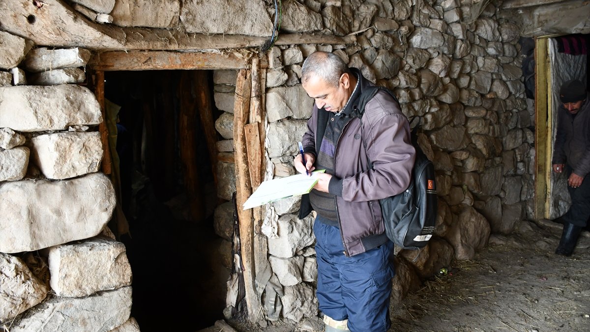 Hakkari'de küpe ve aşılama çalışması sürüyor