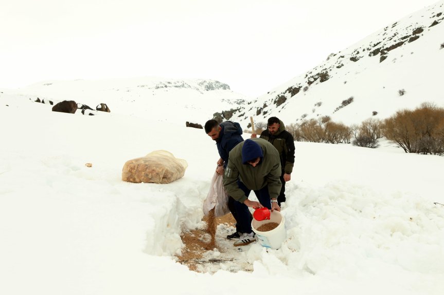 Hamur Deresi AĞRI yaban hayvanları yem 1
