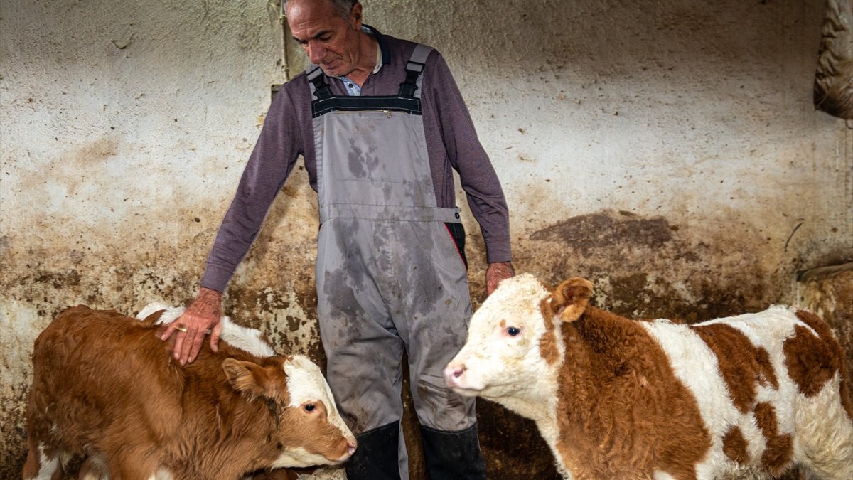 Hayvancılığı bırakacakken devlet desteğiyle eski ahırdan modern tesise adım attı