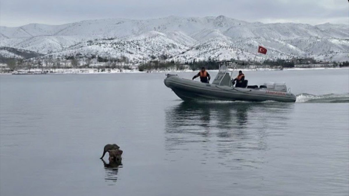 Hazar Gölü'nde su samuru görüntülendi