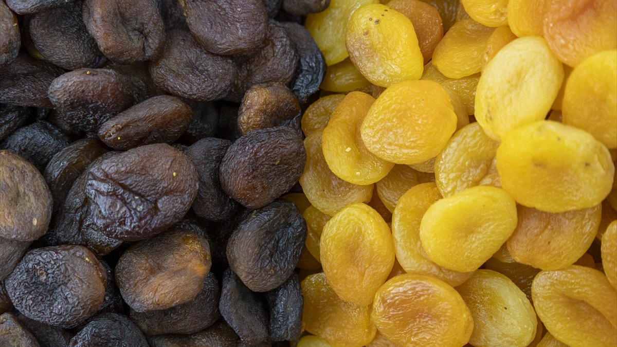 Malatya'da kuru kayısı ihracatında yeni sezondan beklenti yüksek