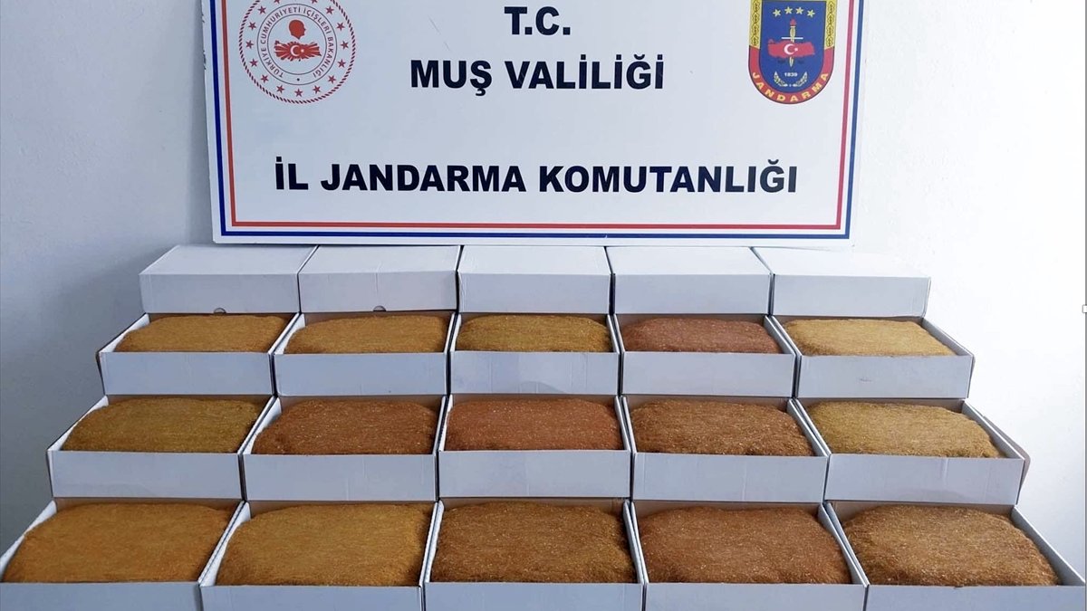 Muş'ta 45 kilogram kaçak tütün ele geçirildi