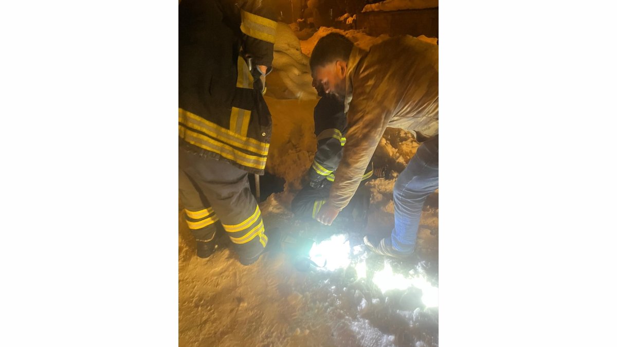 Muş'ta kuyuya düşen köpek kurtarıldı