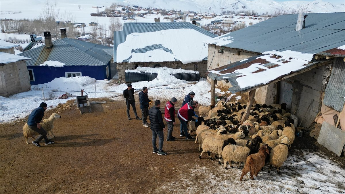 Sürülere kış mevsimine özel mobil sağlık hizmeti