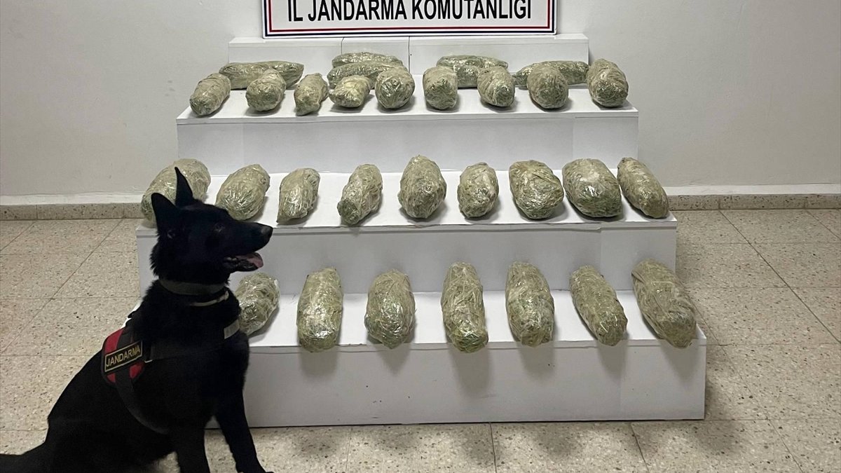 Van'da 21 kilo 350 gram uyuşturucu ele geçirildi