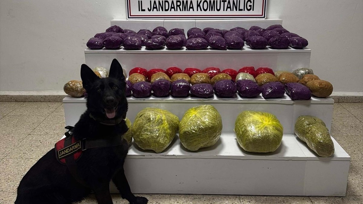 Van'da 31 kilo 551 gram uyuşturucu ele geçirildi