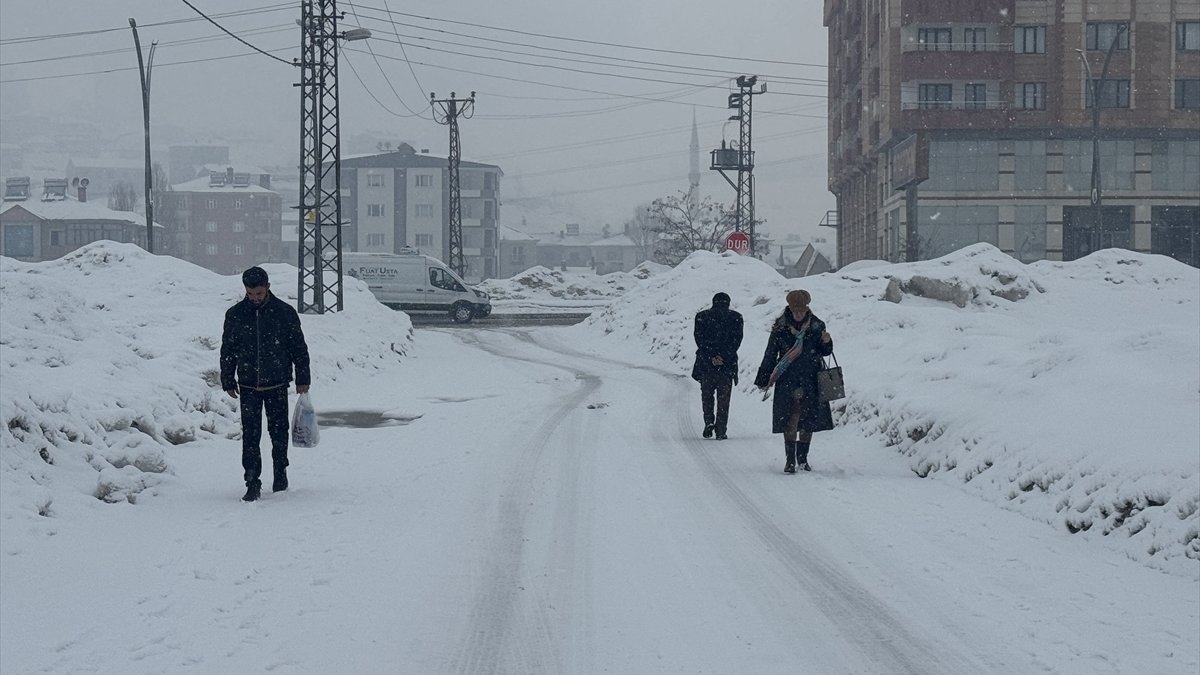 Van, Hakkari, Bitlis ve Muş'ta 453 yerleşim yerine ulaşım sağlanamıyor