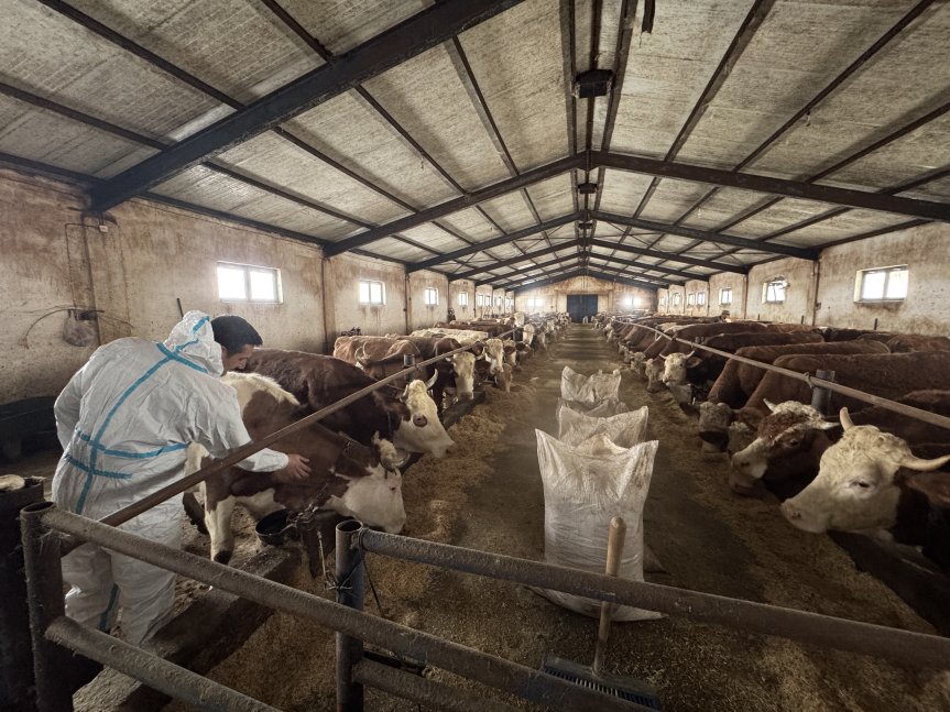 50 Başla Başladı, 139