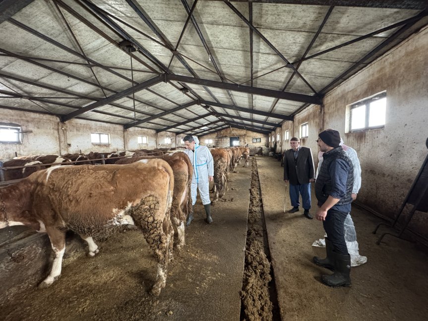 50 Başla Başladı, 139