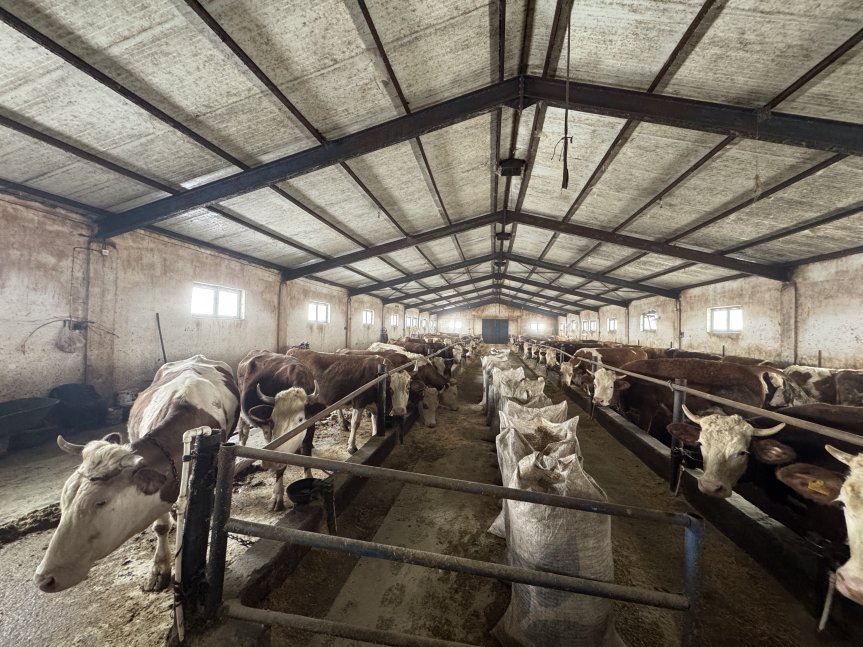 50 Başla Başladı, 139