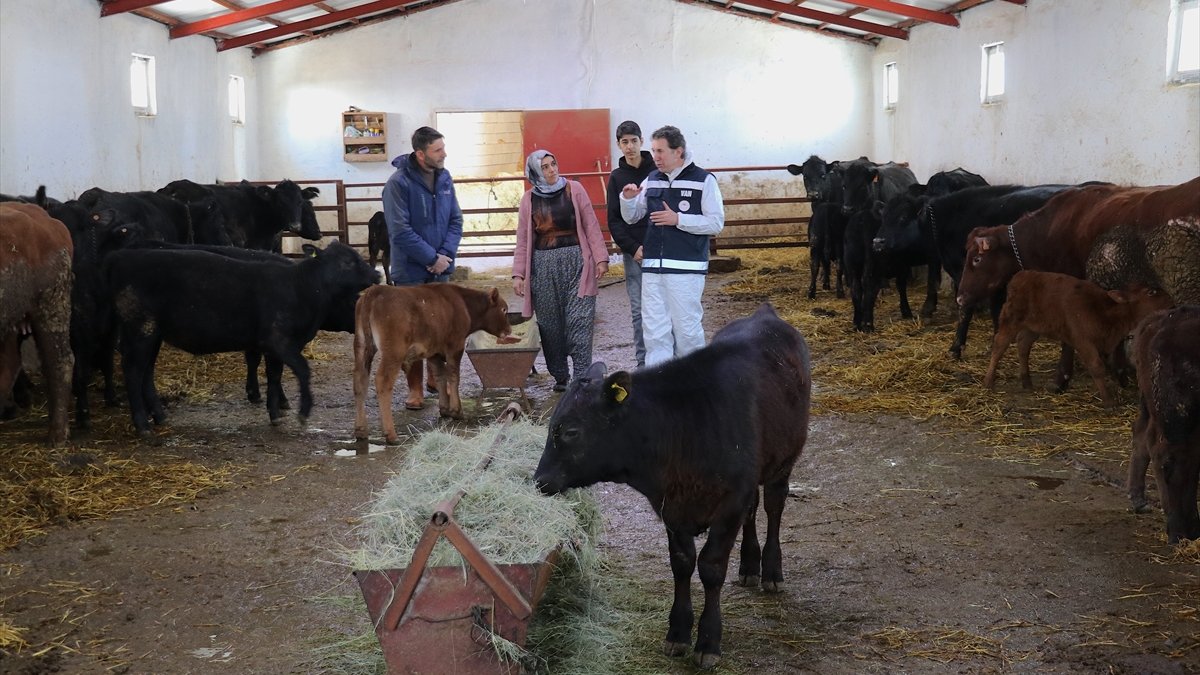 Devlet desteğiyle besiciliğe başlayan kadın çiftçi 5 ayda hayvan sayısını ikiye katladı