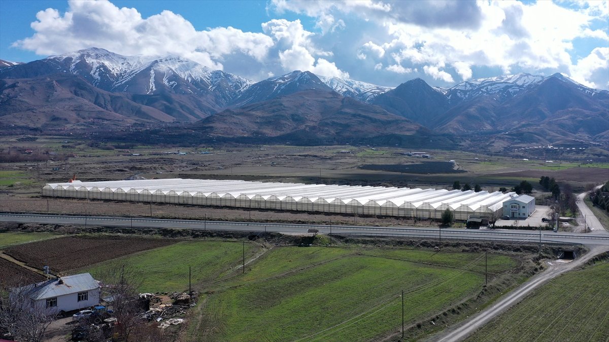 Elazığ'da güneş enerjisi santraliyle desteklenen serada üretimin artırılması hedefleniyor