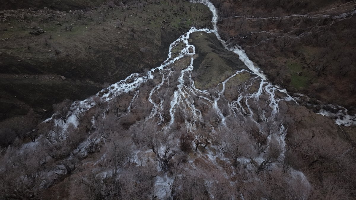 Hakkari'nin Derecik ilçesinde havanın ısınmasıyla doğa canlandı