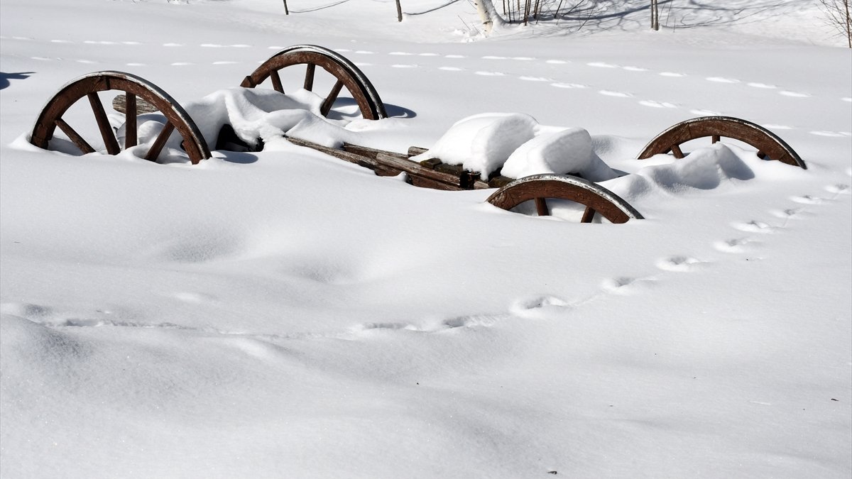 Kars'ta sulak alanlar dondu, bitki ve ağaçlar kırağı tuttu