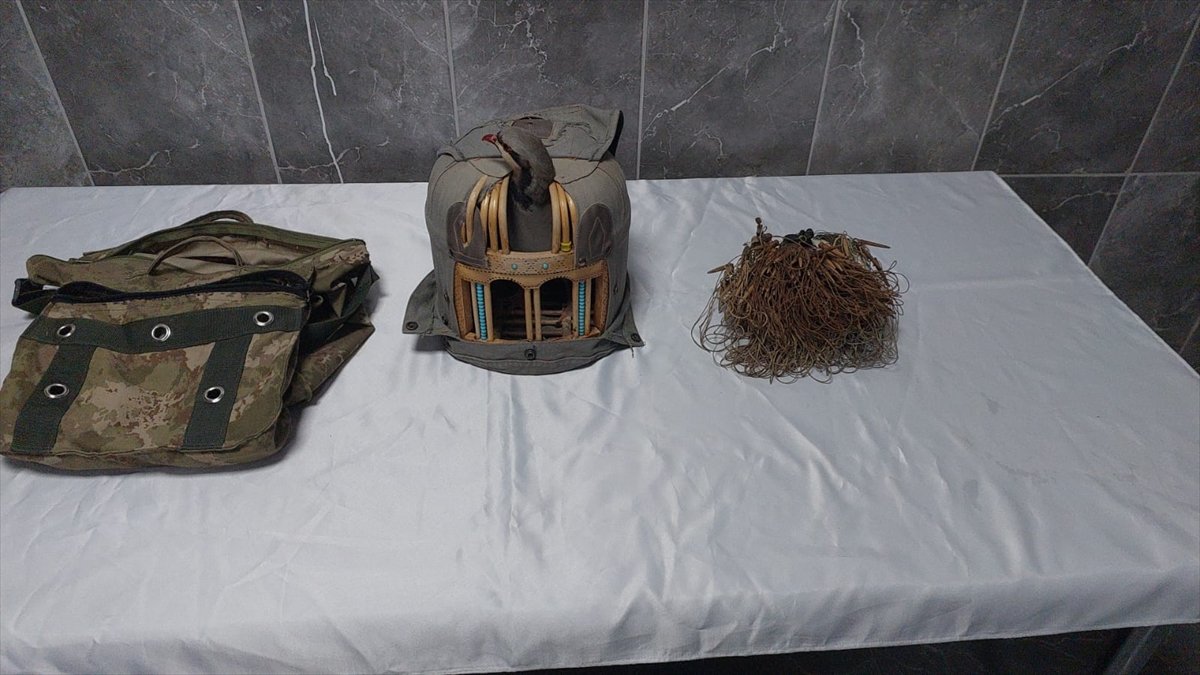 Keban'da kaçak keklik avlayan kişi hakkında işlem yapıldı