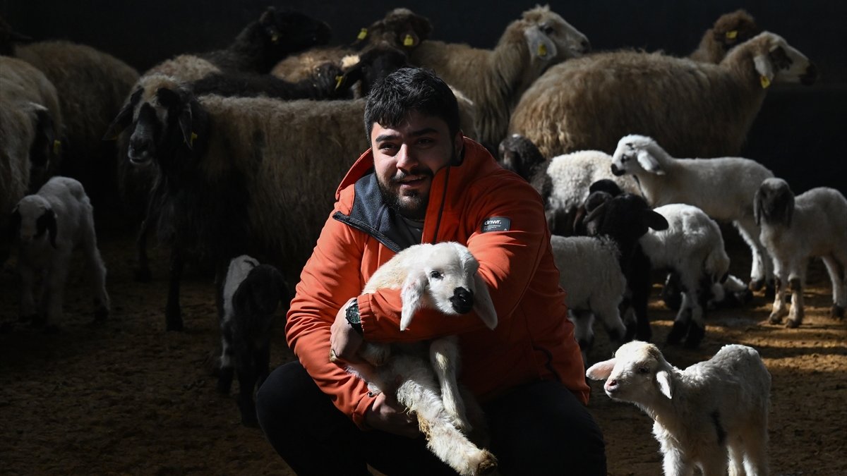 Üniversiteli genç, devlet desteğiyle başladığı hayvancılıkta söz sahibi olmak istiyor