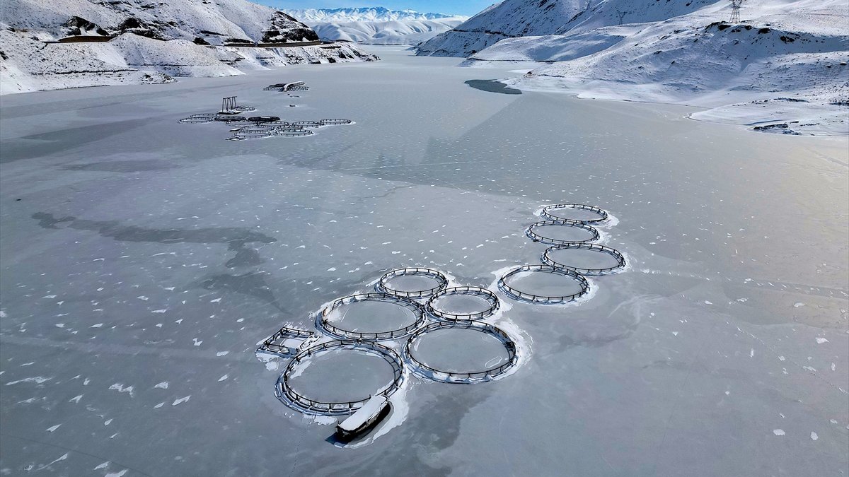 Van'da etkili olan yağışlar barajların doluluk oranını artırdı