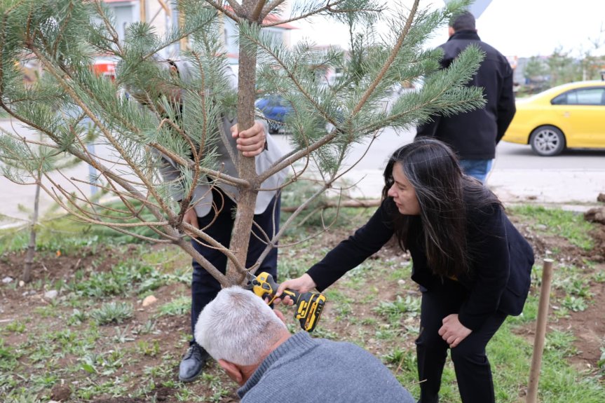 Ağrı Belediyesinden sezonun ilk ağaçlandırma çalışması 3