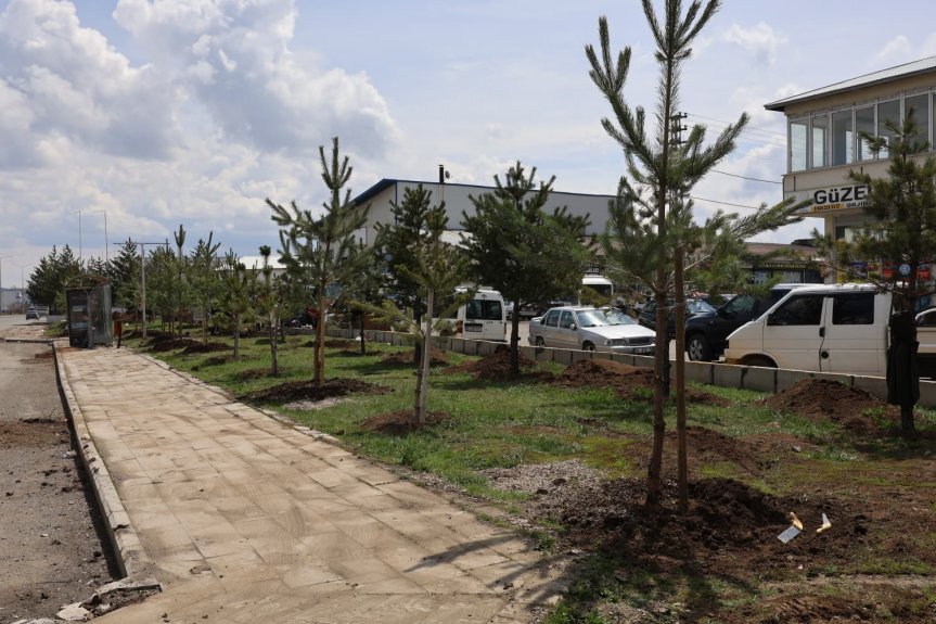 Ağrı Belediyesinden sezonun ilk ağaçlandırma çalışması 7