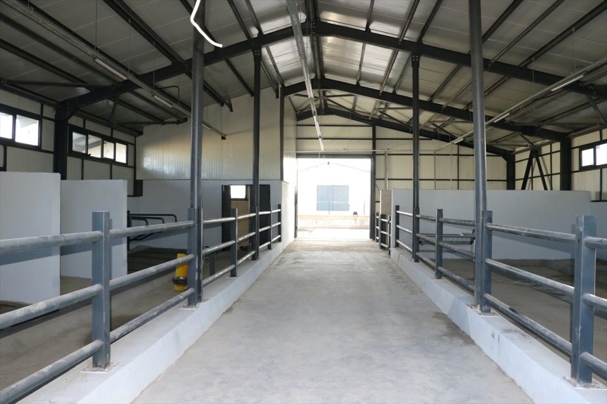 inşasında yaklaşıldı merkezi sona 307 oluşan hayvancılık ahırdan Ağrı