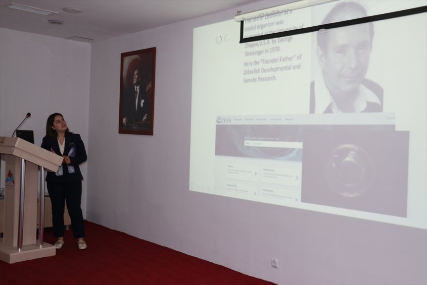 akademisyen hastalıkları çeşitli çift için Ağrı