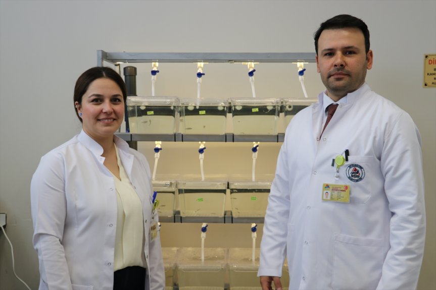 balığından hastalıkları yararlanıyor araştırmak çeşitli çift için Ağrı