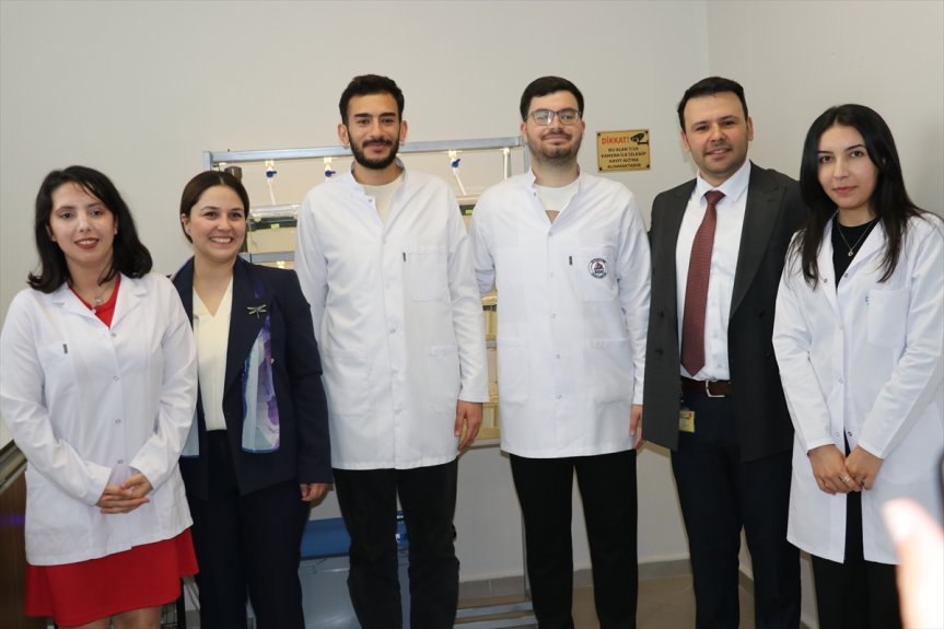 araştırmak akademisyen balığından için çeşitli zebra yararlanıyor hastalıkları çift Ağrı