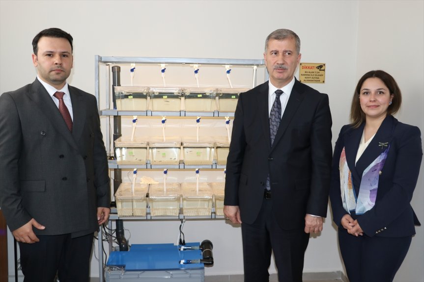 çift akademisyen çeşitli Ağrı