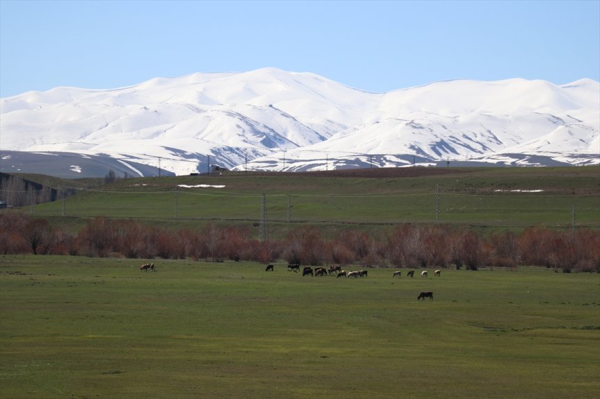 ovada baharın dağlarda Ağrı
