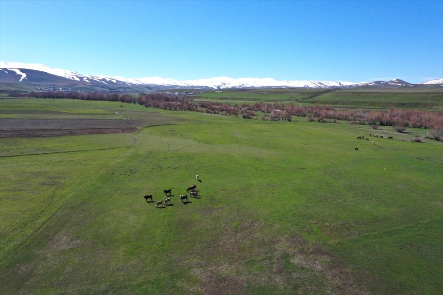 güzellikleri kış, dağlarda baharın ovada yaşanıyor Ağrı