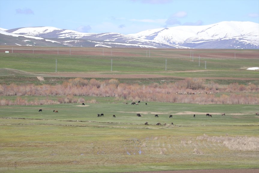 kış, yaşanıyor ovada Ağrı