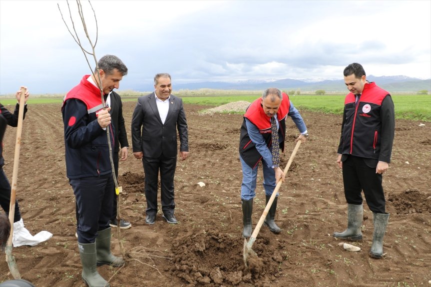 Ağrı