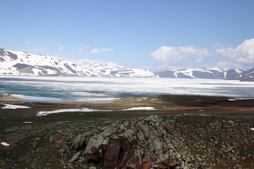 Ağrı