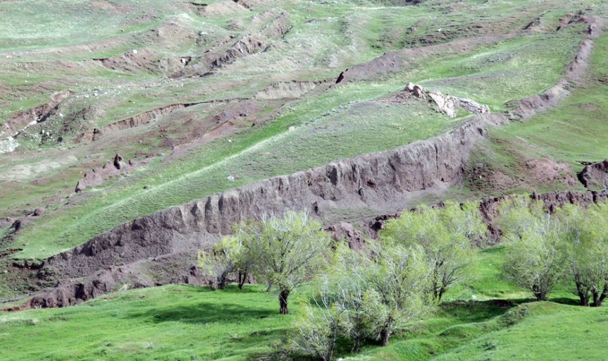 Ağrı