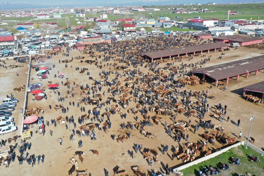 hareketlilik hayvancılık arttı Türkiye