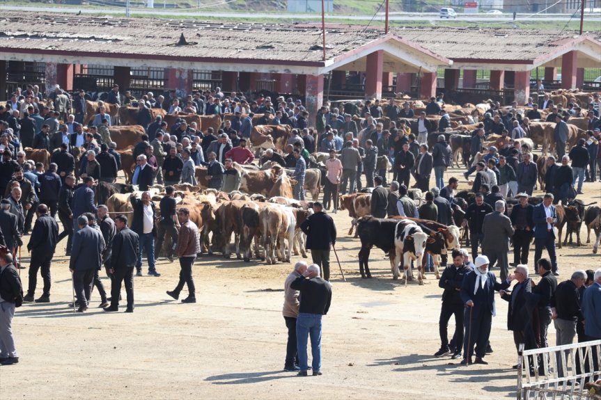 hayvancılık Ağrı