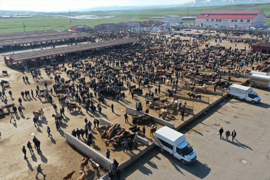 Kurban arttı öncesi borsada Türkiye