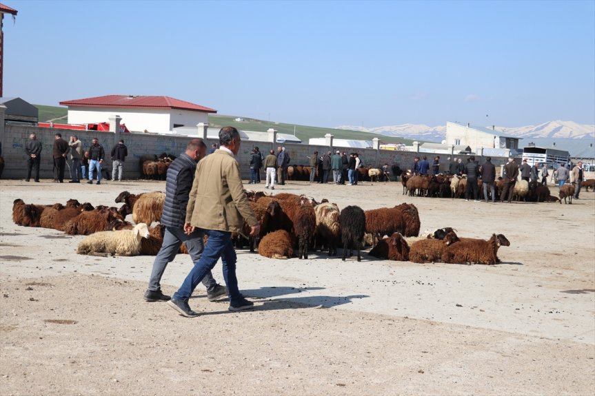hareketlilik Kurban merkezlerinden Türkiye