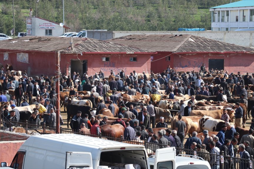 hayvancılık Bayramı Türkiye
