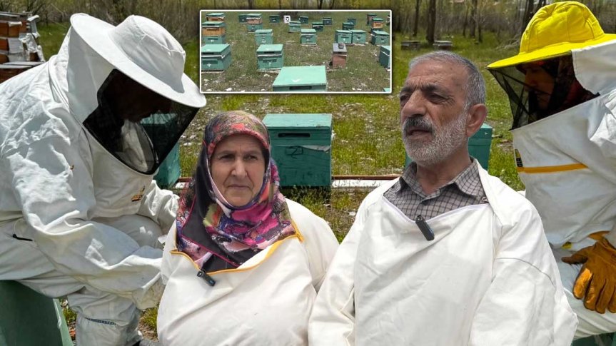 Ağrı'da arıcı çift, kovanların bulunduğu alanda arıcılık çalışmalarını sürdürüyor