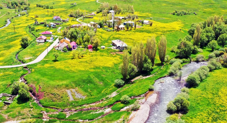 Ağrı'da sarı çiçekli meralar arasında dere kenarına kurulu köy manzarası