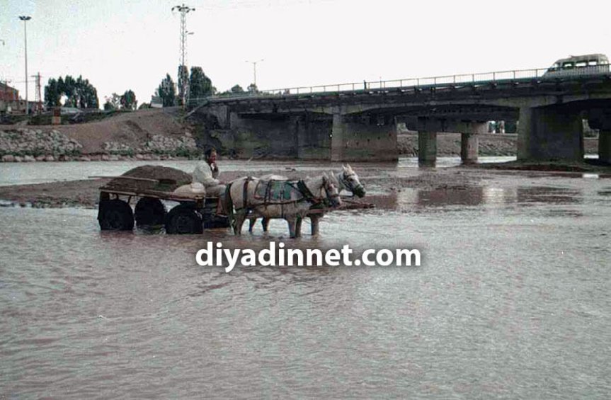 Ağrı'da Murat Nehri içinde kum taşıyan at arabası