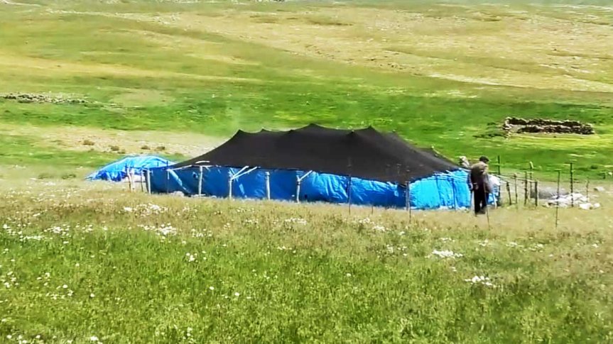 Ağrı Taşlıçay yaylalarında yeşil meralar arasında kurulan çoban çadırı