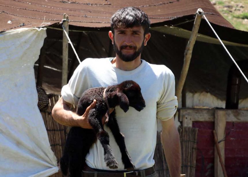 Sinek Yaylası'nda çoban, yayla çadırının önünde siyah kuzuyu kucağında tutuyor.