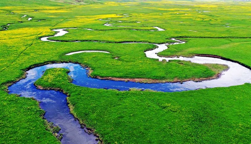 Ağrı'da yemyeşil ovadan geçen menderesler ve yükselen akarsu seviyesi