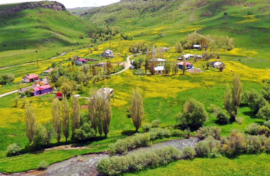 Ağrı'nın yüksek rakımlı köylerinde sarı çiçekler ve dere havadan görüntülendi
