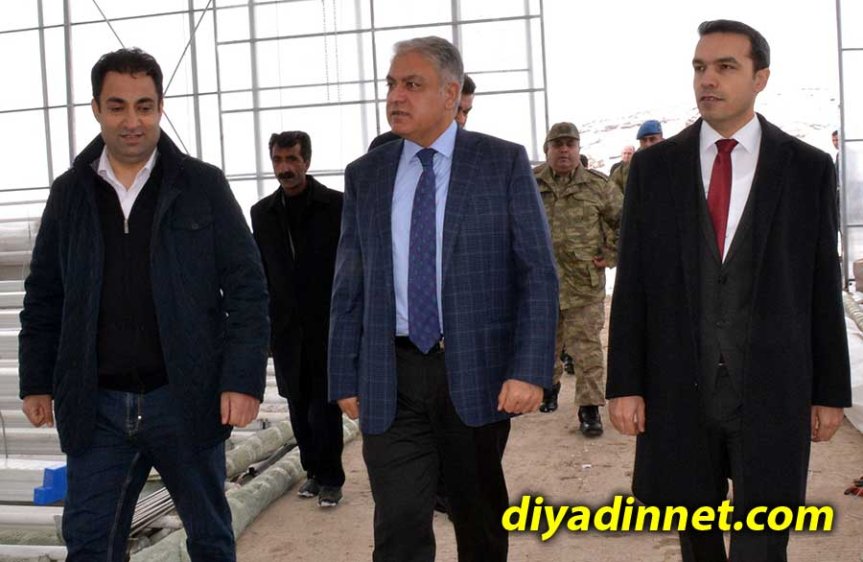 Diyadin'de yapımı süren büyük ölçekli sera inşaatı, yerel kalkınma hedefleri kapsamında incelendi.
