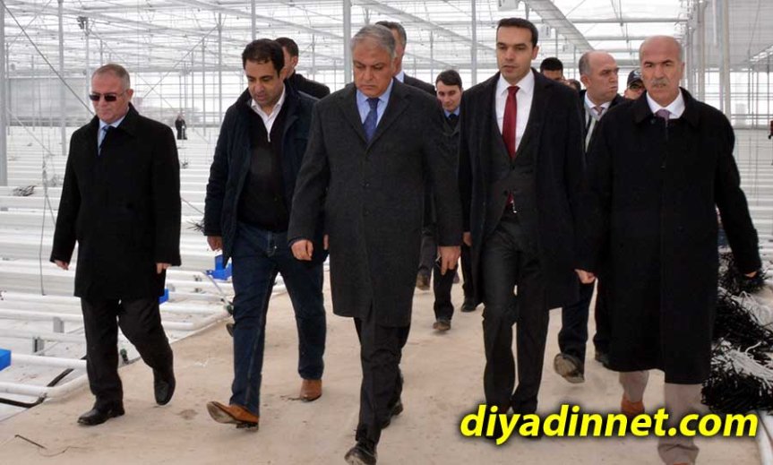 Diyadin'deki jeotermal sera projesi, tarım yatırımı ve bölgesel kalkınma hedefleriyle dikkat çekiyor.