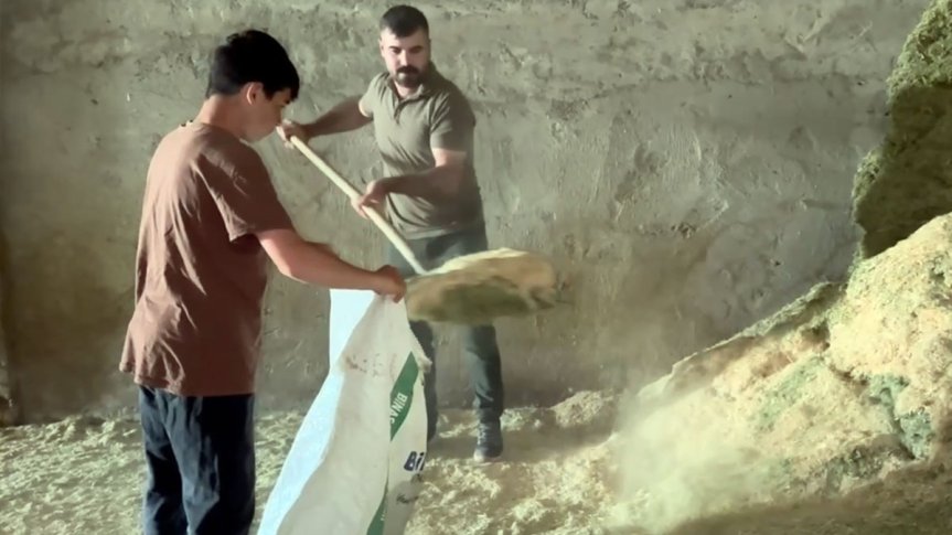 Üreticiler, damızlık hayvanların bakım ve yemleme süreçlerini ahırda düzenli olarak sürdürüyor.