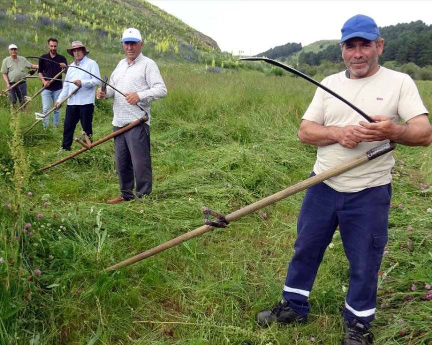 Dere ve demir yolunun uzandığı yeşil vadi, hayvancılık için değerli doğal çayır alanlarına ev sahipliği yapıyor.